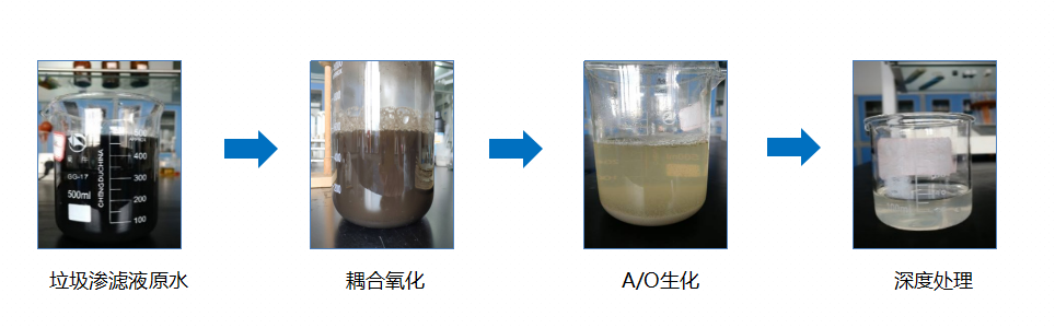 圖片3.png 圖片3.png