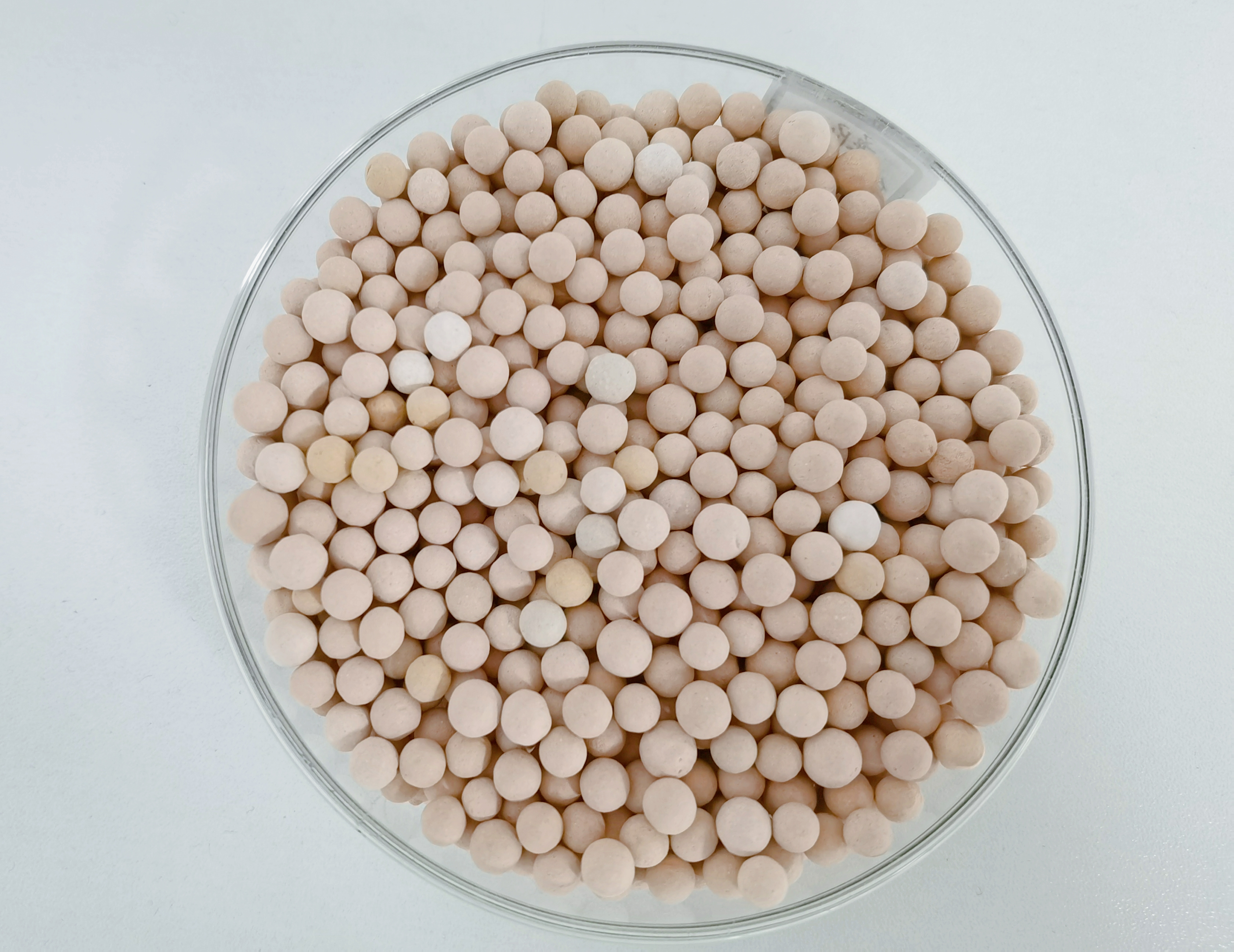 微信圖片_202106031621192.jpg 微信圖片_202106031621192.jpg